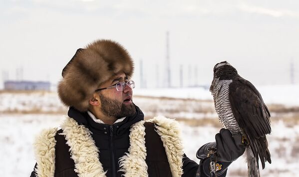 Чемпионат Азии по охоте с ловчими птицами в Алматы - Sputnik Узбекистан