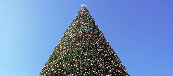 Подготовка Ташкента к празднованию Нового Года Подготовка Ташкента к празднованию Нового Года - Sputnik Ўзбекистон