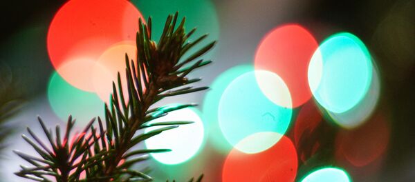 Елочный базар в Москве Елочный базар в Москве - Sputnik Узбекистан