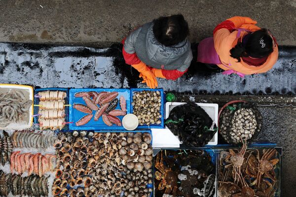 Прилавок на рыбном рынке Норянджин в Сеуле - Sputnik Узбекистан