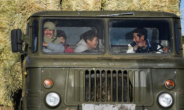 Работники в кабине грузовика во время сбора сена в монгольской степи - Sputnik Узбекистан