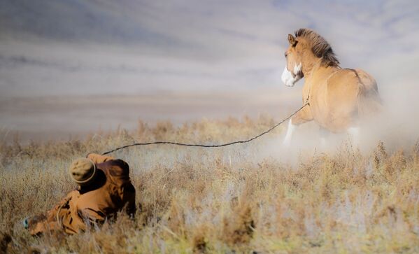 Монгольский пастух с конем - Sputnik Узбекистан