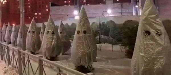 В Петербурге появились страшные елки с глазами - Sputnik Узбекистан