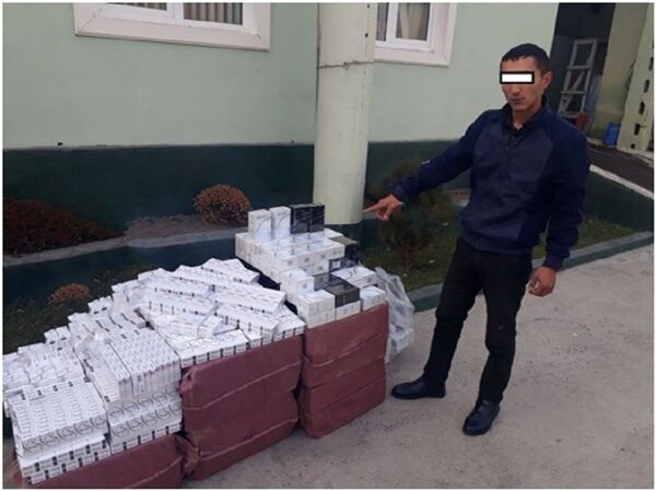 Таможенники пресекли контрабанду почти шести тысяч пачек табака - Sputnik Узбекистан