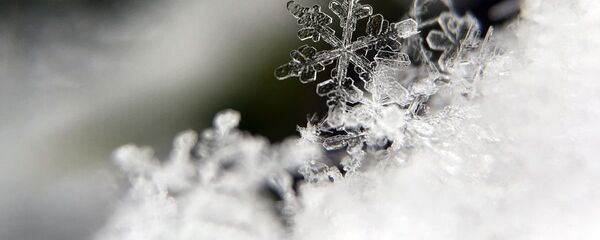 Снежинка. Крупный план Снежинка. Крупный план - Sputnik Ўзбекистон