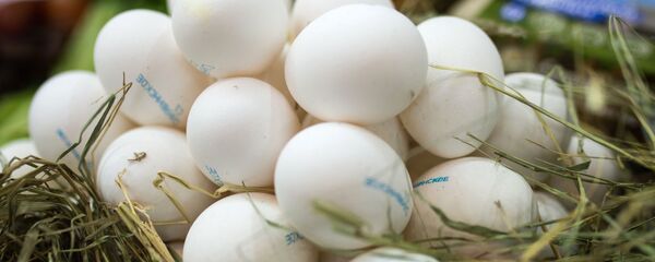 Яйцо Яйцо - Sputnik Ўзбекистон