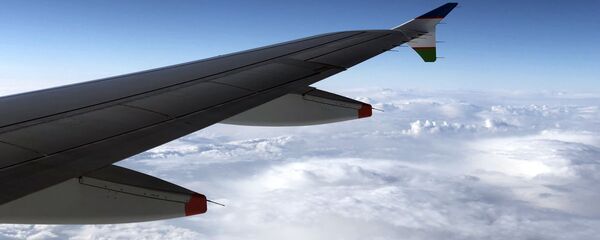 Крыло самолета Национальной авиакомпании Uzbekistan Airways - Sputnik Ўзбекистон