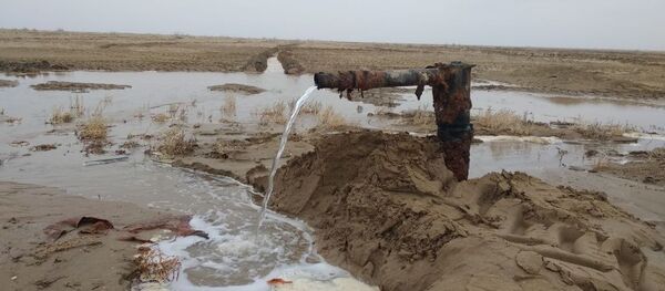 На высохшей части Аральского моря появилась вода - Sputnik Узбекистан