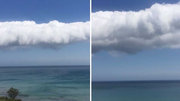 Странное природное явление удалось снять на видео жителю Нового Южного Уэльса – так называемое стаканное облако, вращающееся вокруг своей оси. - Sputnik Ўзбекистон