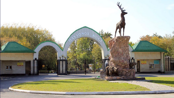 Ташкентский зоопарк - Sputnik Узбекистан