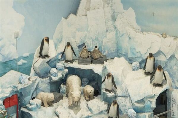 Воздушный шар и много снега: в Ташкенте открывается зимний парк развлечений Воздушный шар и много снега: в Ташкенте открывается зимний парк развлечений - Sputnik Узбекистан