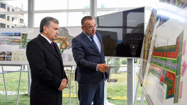Президент посетил махаллю Мирзо Улугбек Джизака - Sputnik Узбекистан