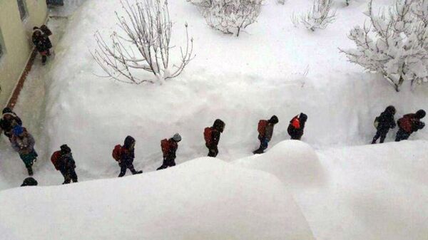Село Кул в Кашкадарьинской области из-за снегопада было отрезано от мира на десять дней - Sputnik Ўзбекистон