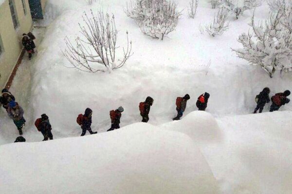 Село Кул в Кашкадарьинской области из-за снегопада было отрезано от мира на десять дней - Sputnik Узбекистан