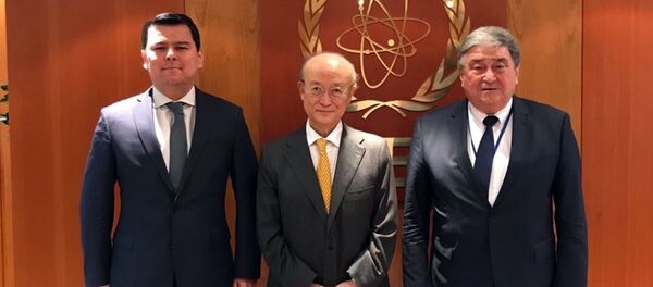 В Вене состоялась встреча президента Академии наук Республики Узбекистан Бехзода Юлдашева с генеральным директором Международного агентства по атомной энергии (МАГАТЭ) Юкией Амано В Вене состоялась встреча президента Академии наук Республики Узбекистан Бехзода Юлдашева с генеральным директором Международного агентства по атомной энергии (МАГАТЭ) Юкией Амано - Sputnik Узбекистан