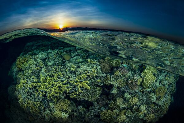 Zakat na fone korallovogo sada Rifa Gordon na snimke Sunsplit, zanyavshem 2-e mesto v kategorii Reefscapes konkursa 7th Annual Ocean Art Underwater Photo Contest - Sputnik O‘zbekiston
