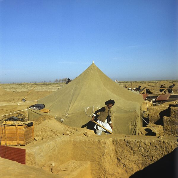 Сокровища Бактрии: когда история дороже золота Сокровища Бактрии: когда история дороже золота - Sputnik Узбекистан