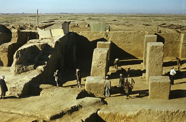 Сокровища Бактрии: когда история дороже золота Сокровища Бактрии: когда история дороже золота - Sputnik Узбекистан