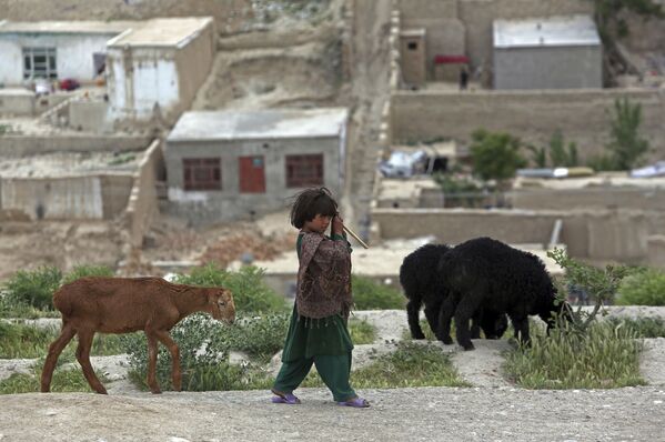 Ребенок-кочевник-афганец Кучи пасет своих овец на вершине холма Надир-Хан в Кабуле, Афганистан - Sputnik Ўзбекистон