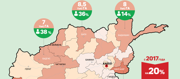 Наркотики из Афганистана - Sputnik Узбекистан