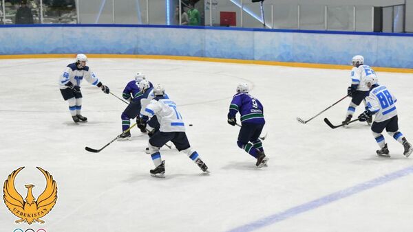 Чемпионат Узбекистана по хоккею - Sputnik Узбекистан