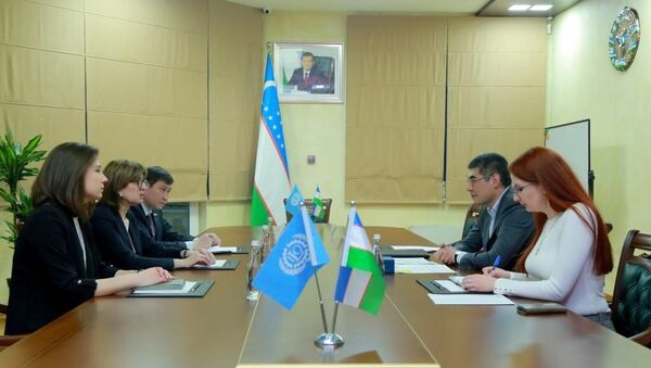 Визит делегации МОТ в Узбекистан - Sputnik Узбекистан