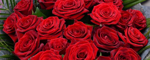 Букет роз - Sputnik Узбекистан