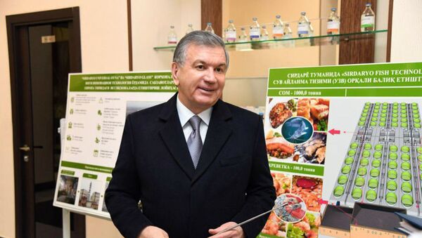 Президент Республики Узбекистан Шавкат Мирзиёев 19 февраля прибыл в Сырдарьинский район Сырдарьинской области - Sputnik Ўзбекистон