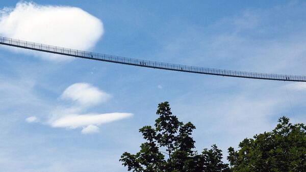 Пешеходный мост. Иллюстративное фото - Sputnik Узбекистан