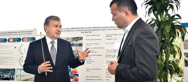 Шавкату Мирзиёеву представлены важные для экономики Сырдарьинской области проекты - Sputnik Ўзбекистон