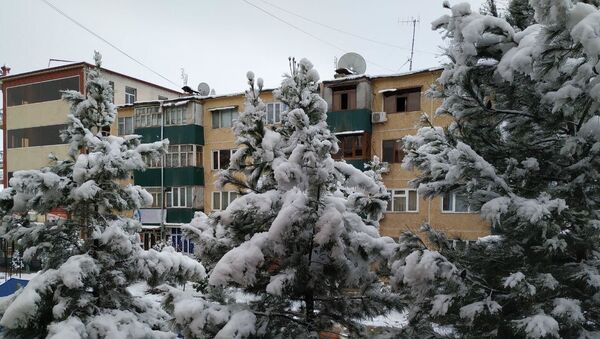 Снег в Самарканде - Sputnik Узбекистан
