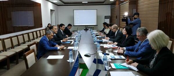 Замминистра народного образования Сарвар Бабаходжаев встретился с представителями Университета прикладных наук города Ювяскюля (JAMK) - Sputnik Узбекистан