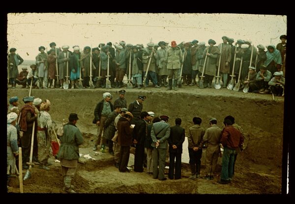 Сокровища Афганистана: как спасали золото Бактрии Сокровища Афганистана: как спасали золото Бактрии - Sputnik Узбекистан