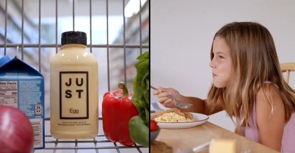 Яйца из бобов и неживотное мясо: как живут узбекские веганы - Sputnik Узбекистан