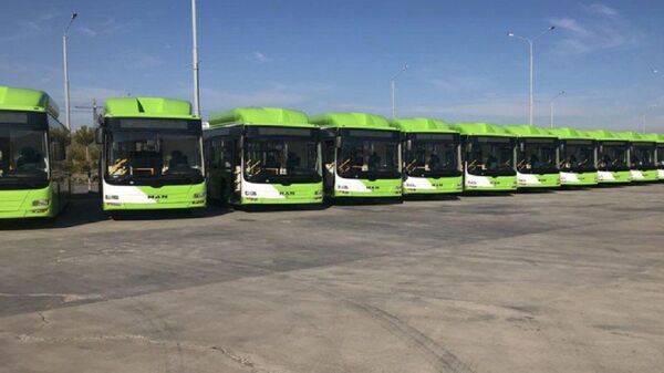Автобусы в Ташкенте - Sputnik Узбекистан
