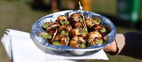 Фестиваль молодого вина «WineFest» в Балаклаве - Sputnik Узбекистан