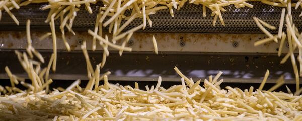 Уборка и переработка урожая картофеля - Sputnik Узбекистан