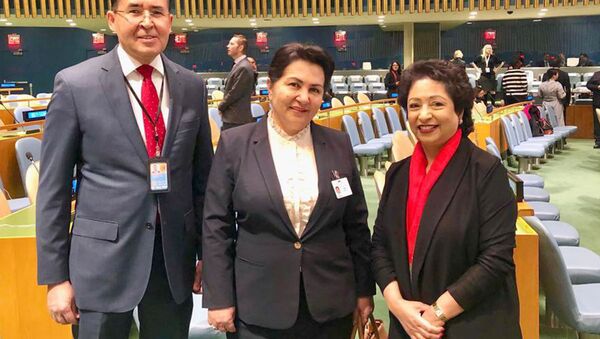 Заместитель премьер-министра, председатель Комитета женщин Узбекистана Танзила Нарбаева в штаб-квартире ООН - Sputnik Узбекистан