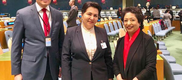 Заместитель премьер-министра, председатель Комитета женщин Узбекистана Танзила Нарбаева в штаб-квартире ООН - Sputnik Узбекистан