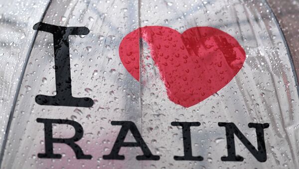 Зонт с надписью Я люблю дождь. - Sputnik Ўзбекистон