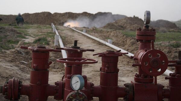 Epsilon Development Company наращивает объемы добычи природного газа в Узбекистане - Sputnik Узбекистан