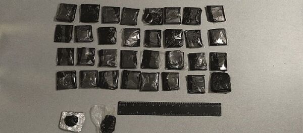 Узбекские таможенники пресекли попытку ввоза опия - Sputnik Узбекистан