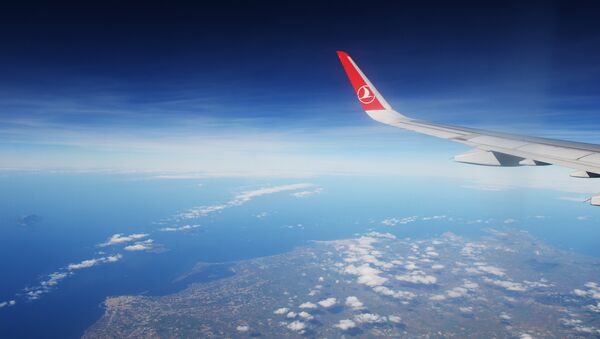 Самолет авиакомпании Turkish Airlines во время полета - Sputnik Узбекистан