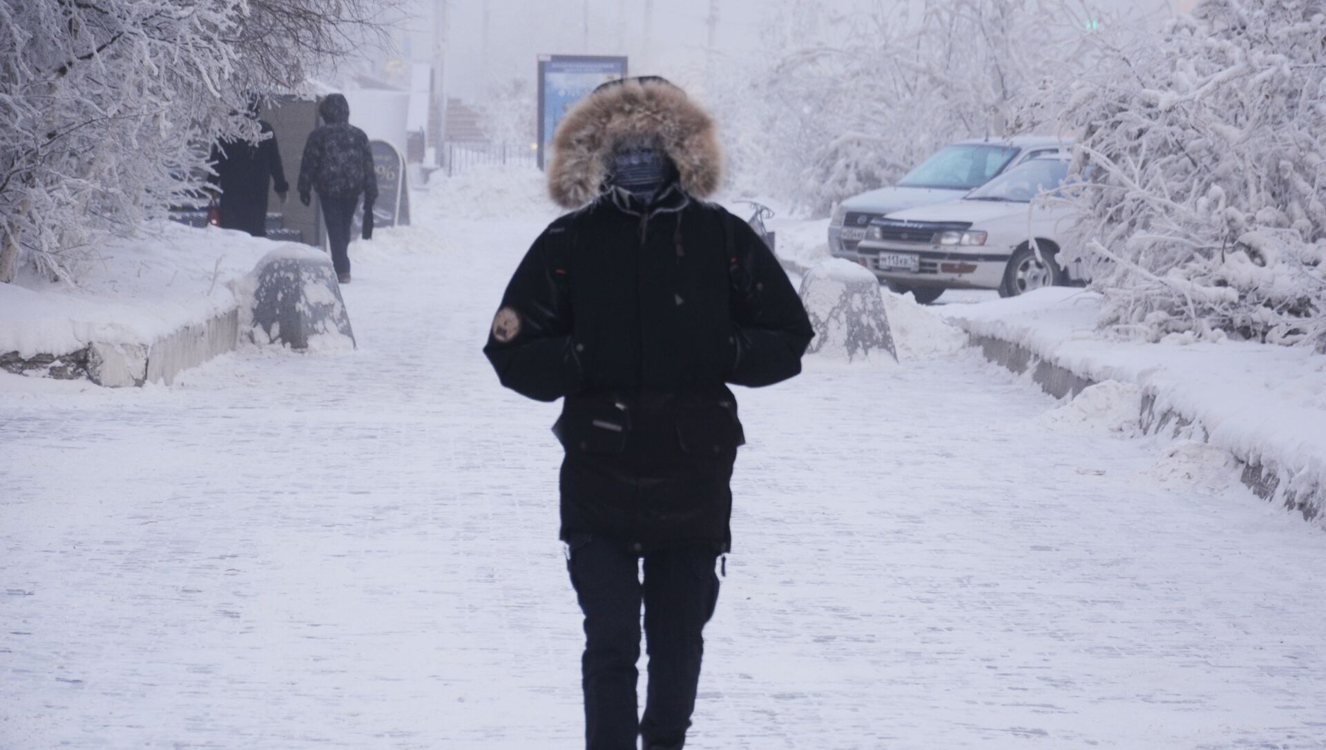 Сильный холод 5. Оймякон Мороз. Якутск Мороз. Морозы в Якутии. Сильный Мороз.