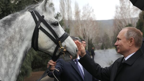 Государственный визит президента РФ В. Путина в Киргизию - Sputnik Ўзбекистон