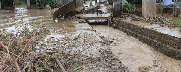 Последствия схода селевого потока  - Sputnik Узбекистан