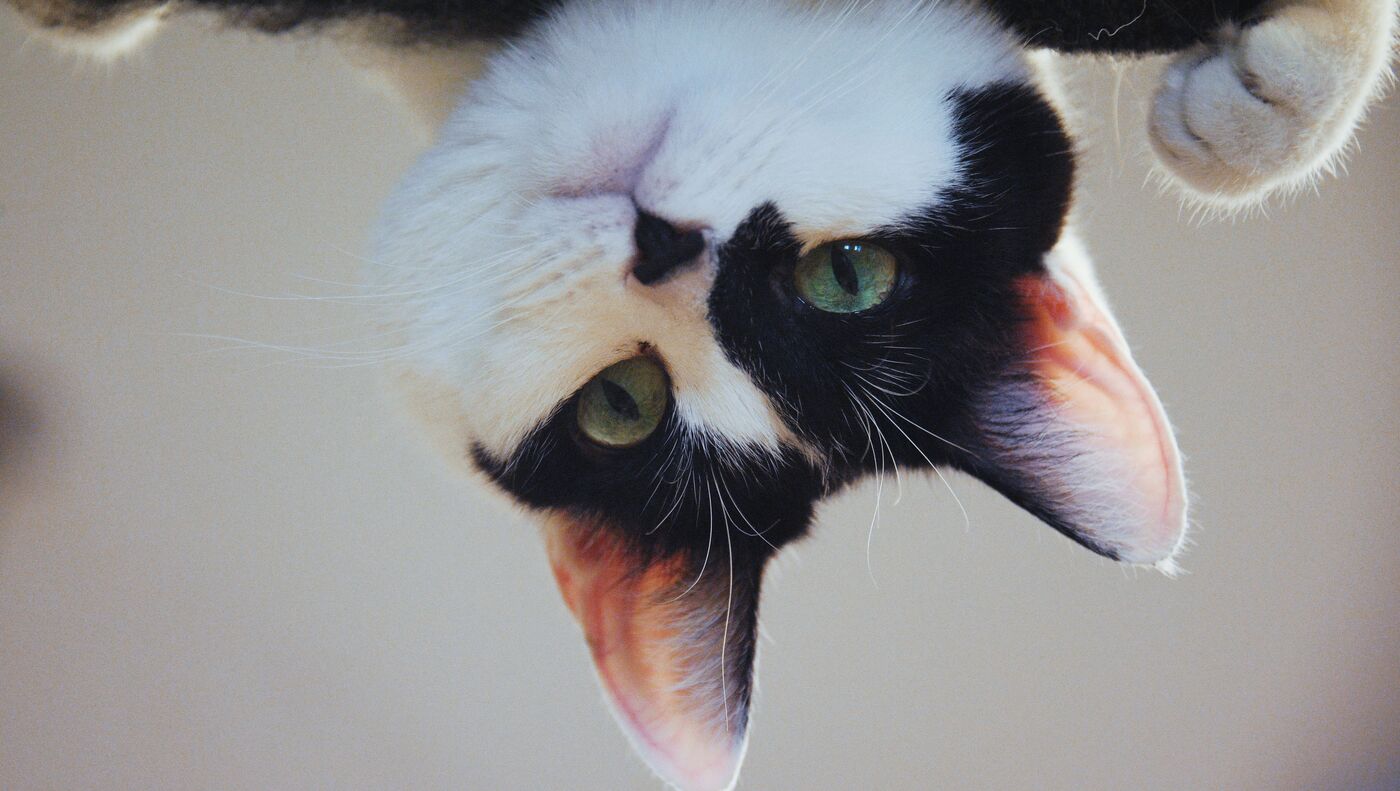 Anal fisting porno oqibatlari Seks pornosida ehtiros bilan yonish