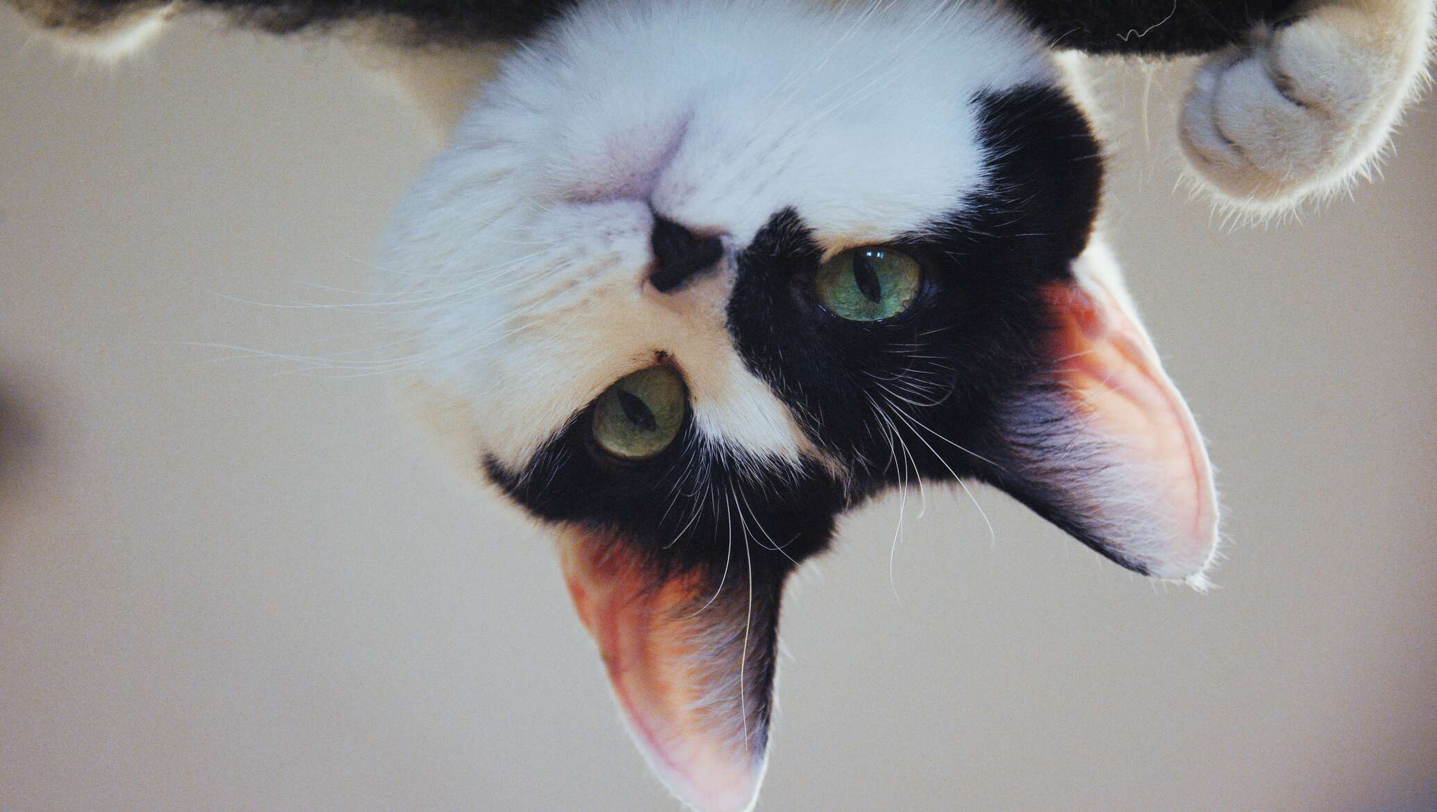 Mast uxlayotgan onalar bilan jinsiy aloqa Er sikadi, xotin esa tomosha qiladi va onanizm qiladi