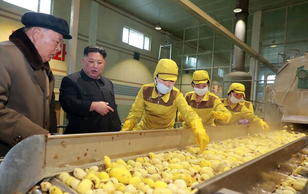 Лидер Северной Кореи Ким Чен Ын на картофельном комбинате в Самджиене - Sputnik Узбекистан