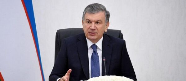Шавкат Мирзиёев предложил усилить контроль за инвестициями Шавкат Мирзиёев предложил усилить контроль за инвестициями - Sputnik Ўзбекистон